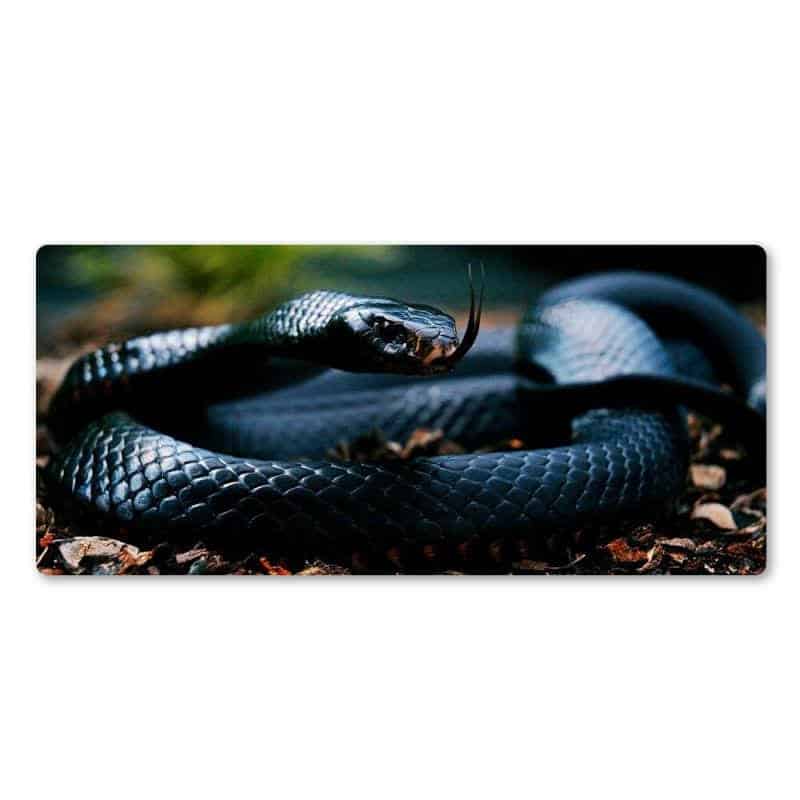 Yılan Mouse Pad Naja (Fare Altlığı)