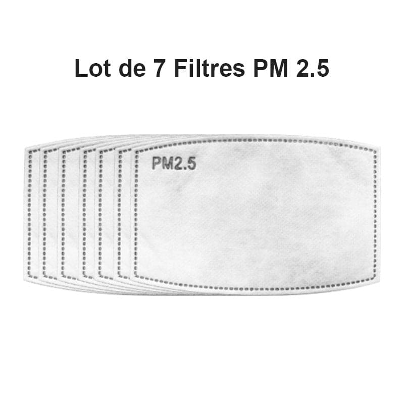7'Li Pm2.5 Filtre Seti