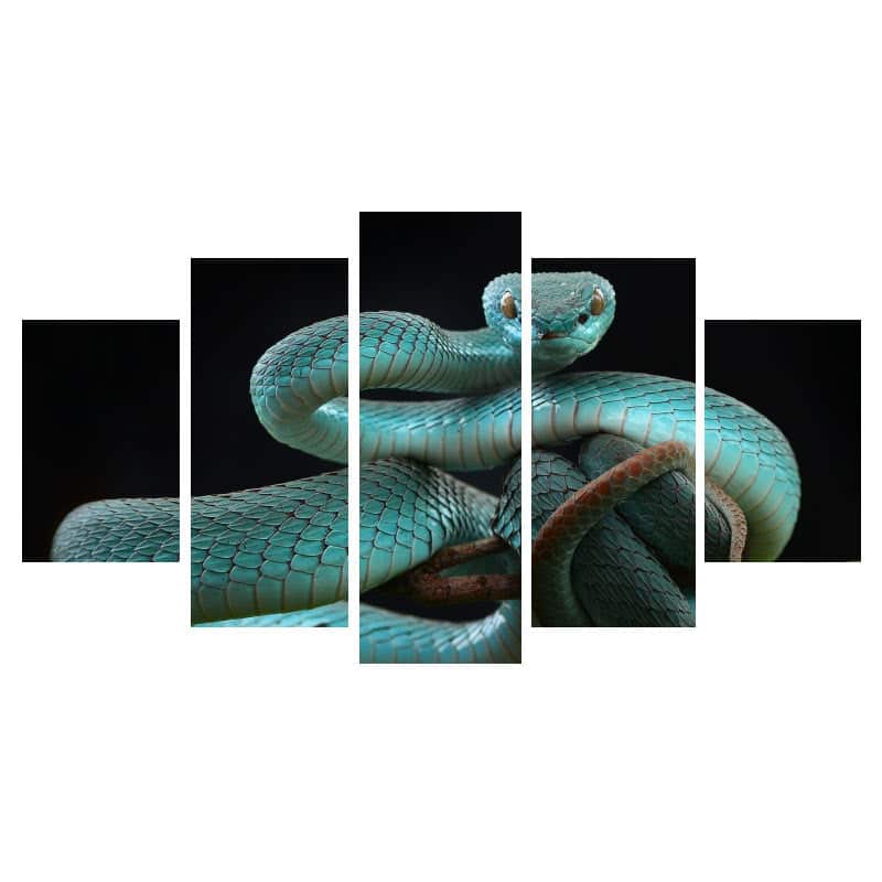 Yılan Tablo Mavi Viper